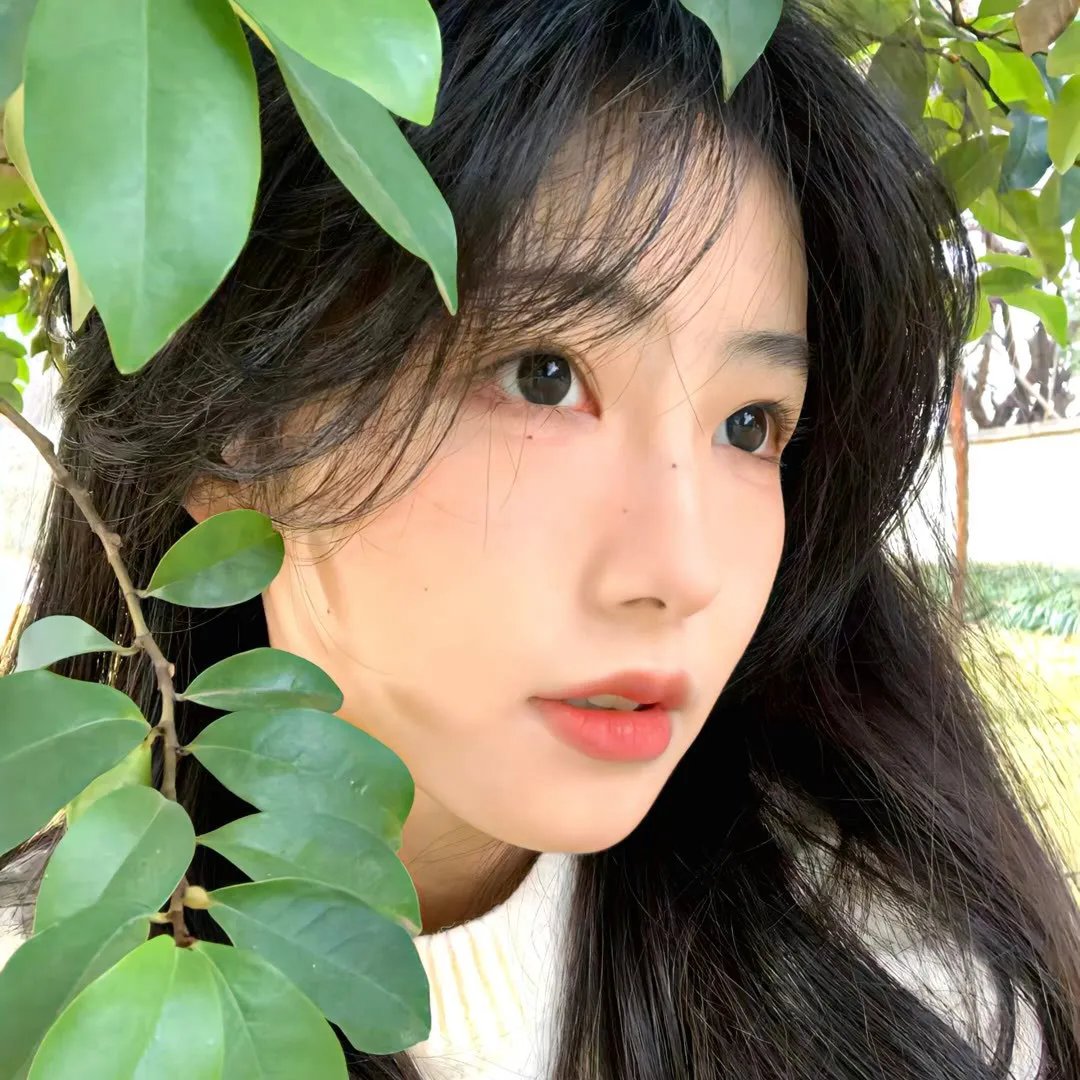 你好，再见